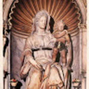 Meet your Posher, Bernadette